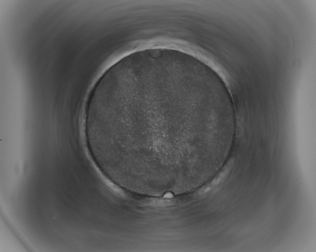 X0000115721525200911191341