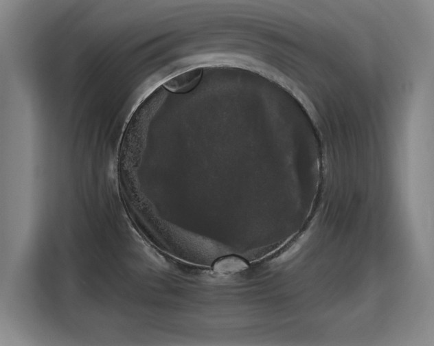 X0000115721529200911191341
