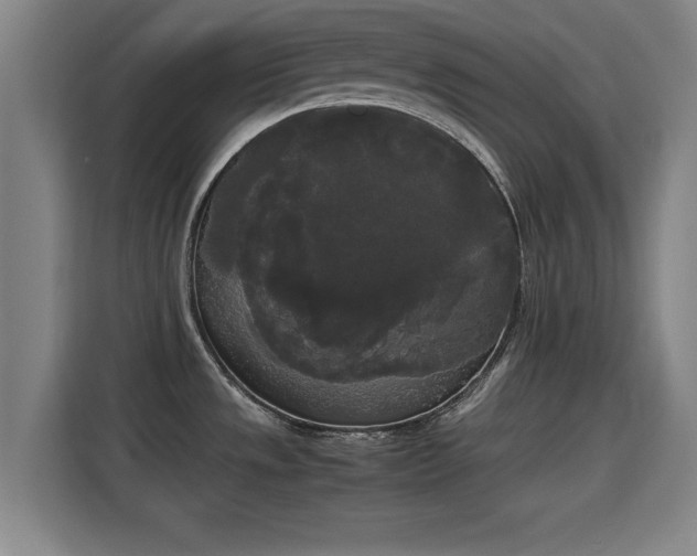 X0000115721533200911191341