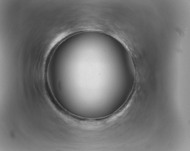 X0000115720008200911251926