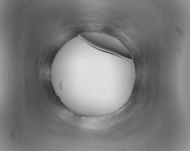 X0000115720045200911251926