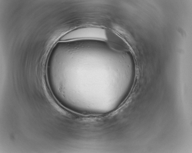 X0000115720049200911251925