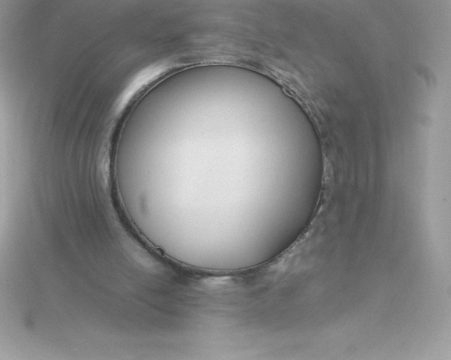 X0000115720054200911251925