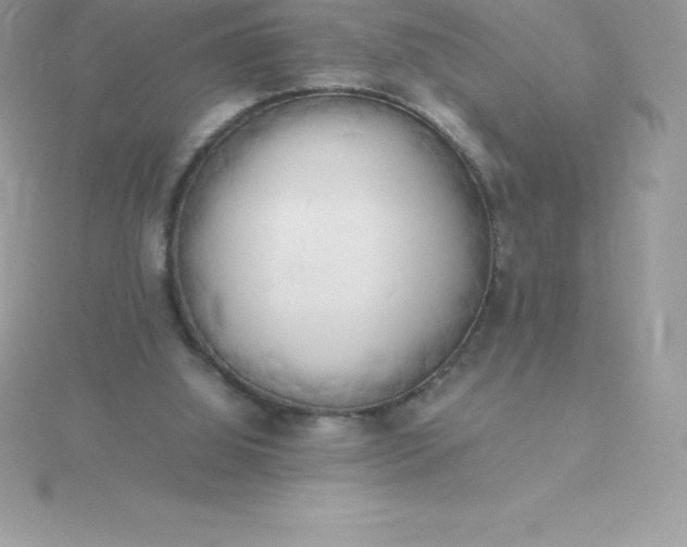 X0000115720060200911251925
