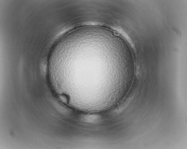 X0000115720063200911251925
