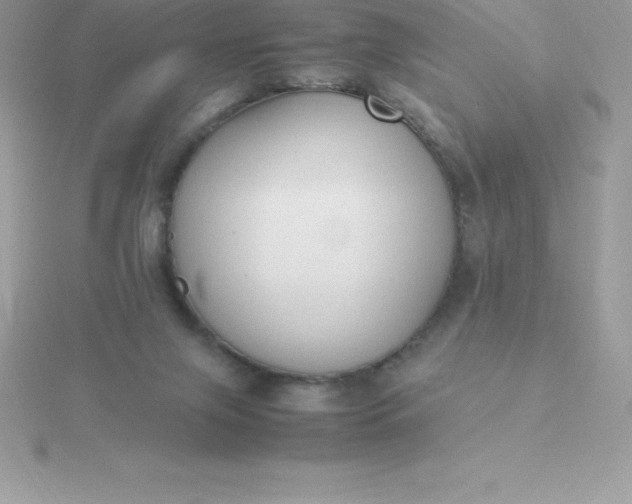 X0000115720071200911251925