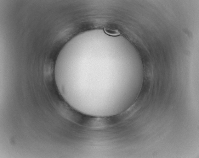 X0000115720082200911251925