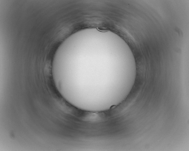 X0000115720083200911251925