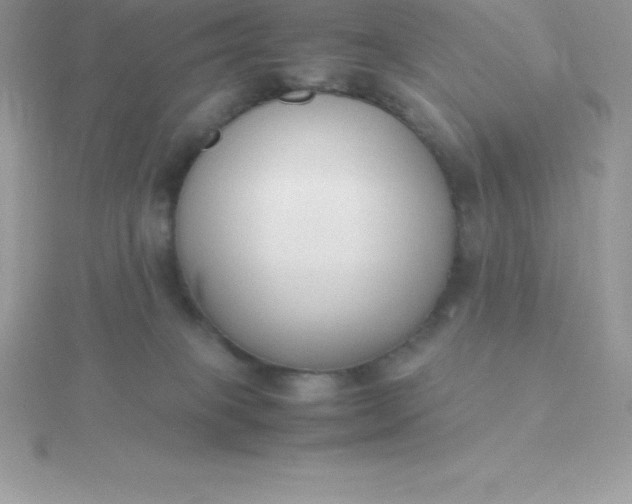 X0000115720085200911251925