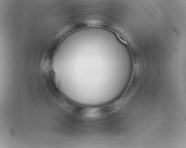 X0000115720093200911251926