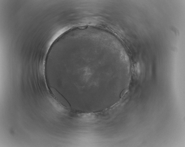 X0000115720100200911251925