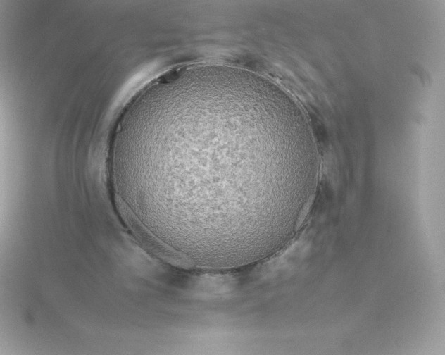 X0000115720101200911251925