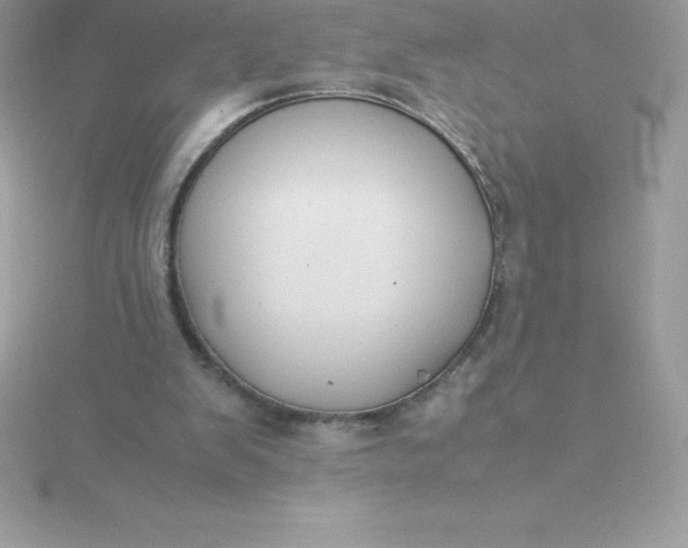 X0000115720103200911251925