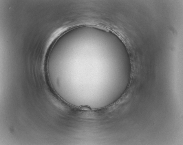 X0000115720104200911251925
