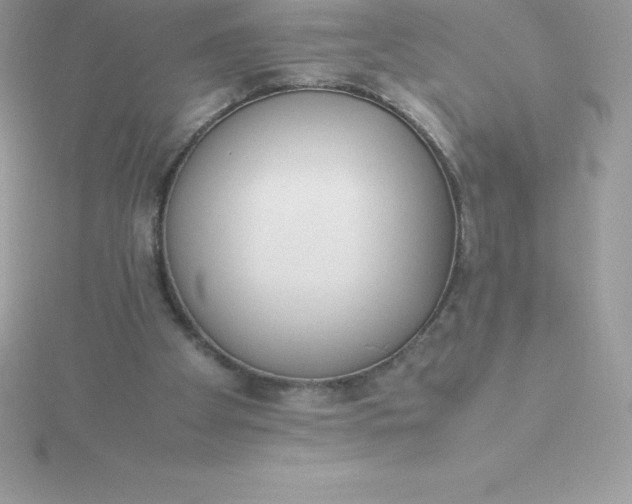 X0000115720105200911251925
