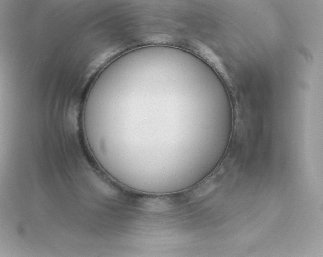 X0000115720106200911251925