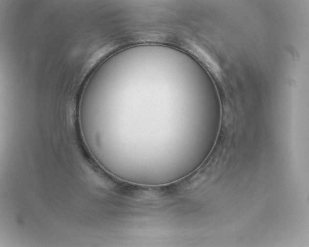 X0000115720107200911251925