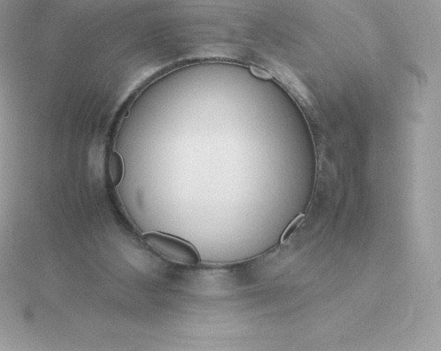 X0000115720108200911251925