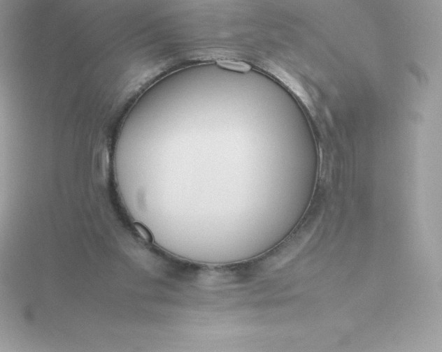 X0000115720109200911251925