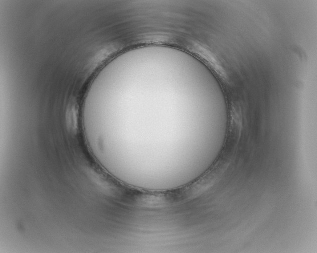 X0000115720110200911251925