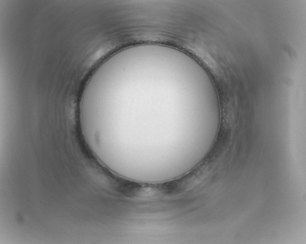 X0000115720111200911251925