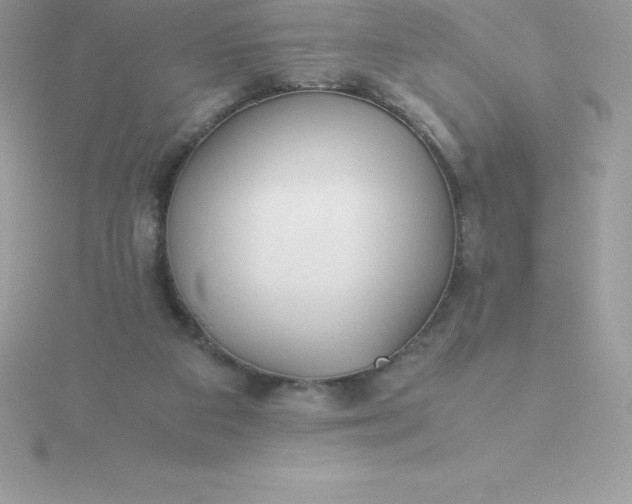 X0000115720113200911251925