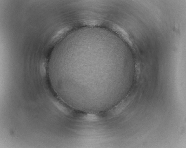 X0000115720114200911251925