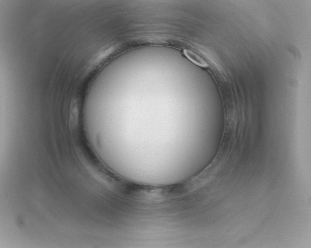 X0000115720120200911251925