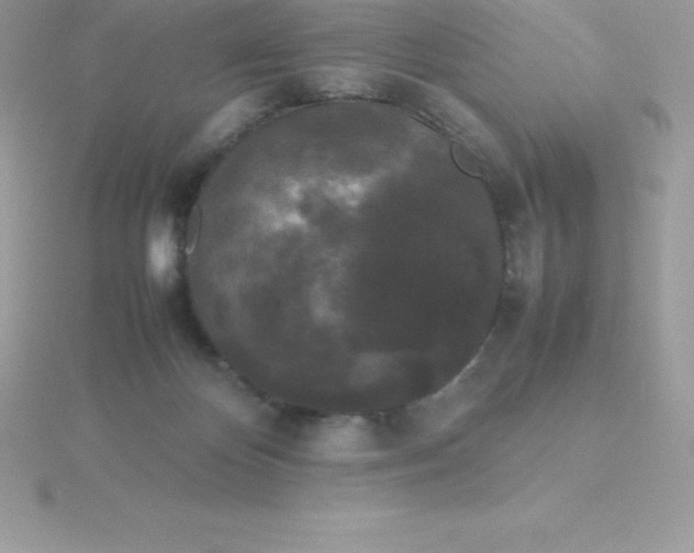 X0000115720124200911251925