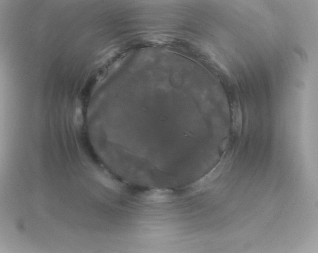 X0000115720128200911251925