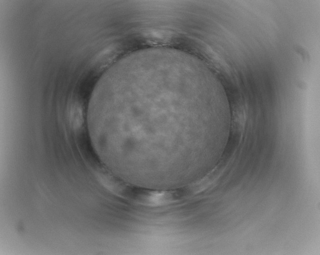X0000115720130200911251925