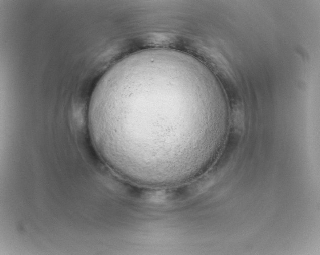 X0000115720131200911251925
