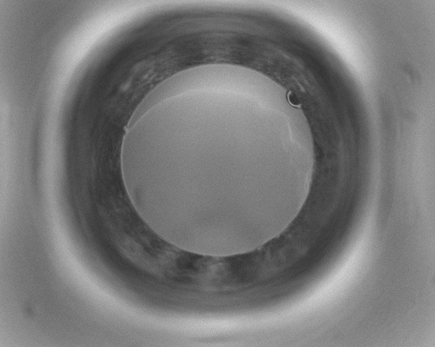 X0000115720143200911251924