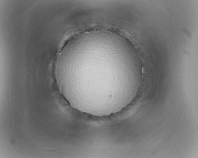 X0000115720144200911251924