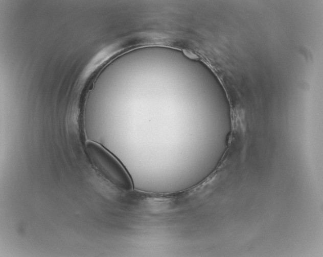 X0000115720150200911251924