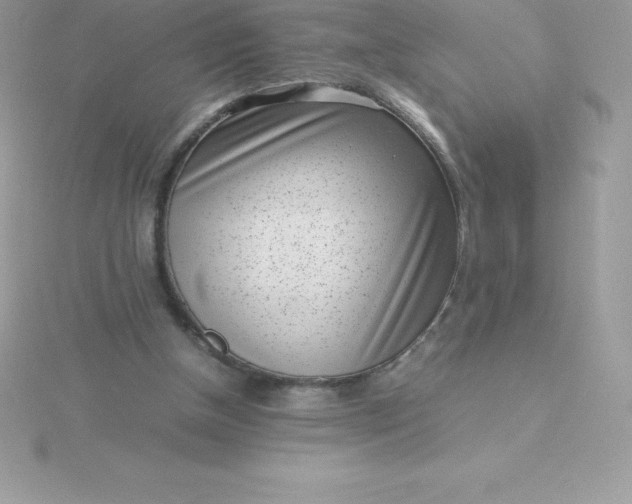 X0000115720154200911251924
