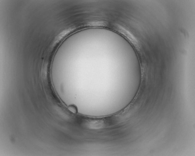 X0000115720155200911251924