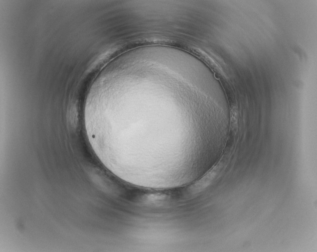 X0000115720158200911251924
