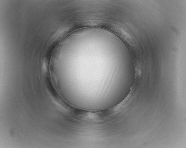 X0000115720166200911251924