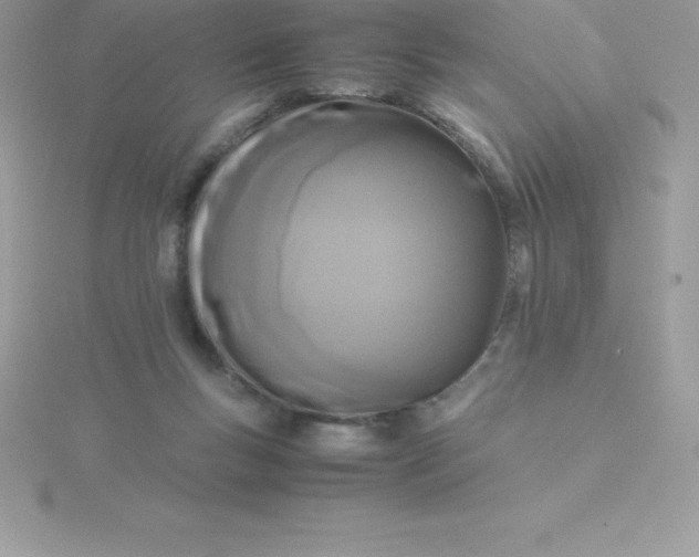 X0000115720167200911251924