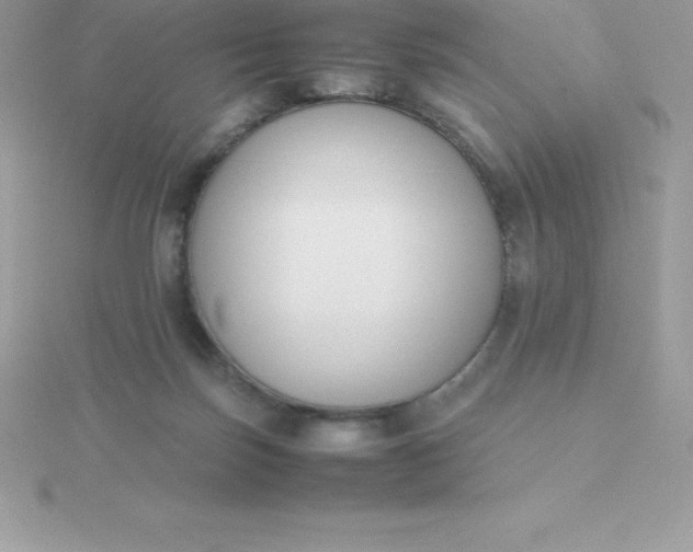 X0000115720171200911251924