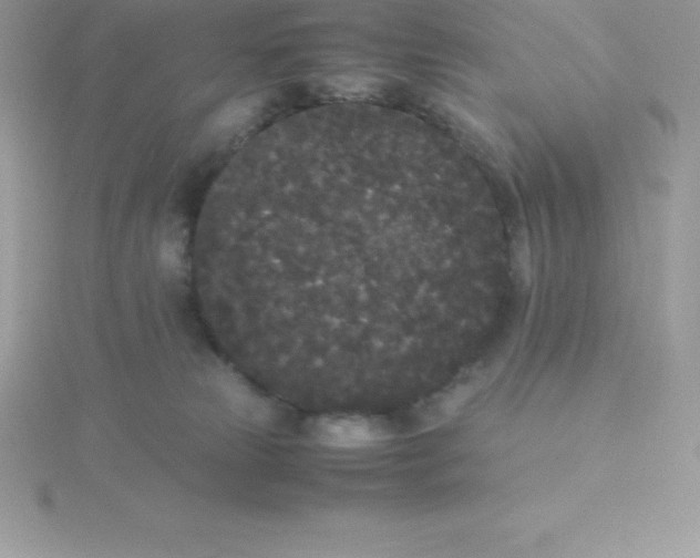 X0000115720181200911251924