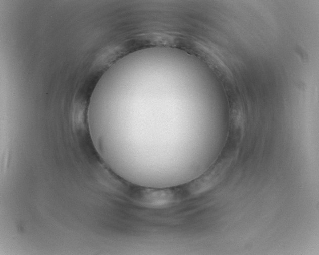X0000115720185200911251924