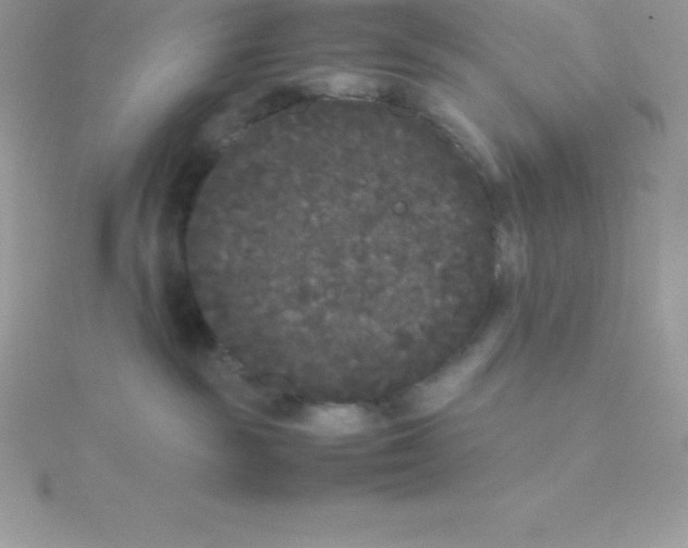 X0000115720189200911251924
