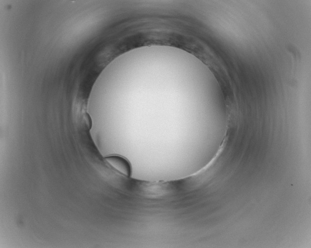 X0000115720191200911251924