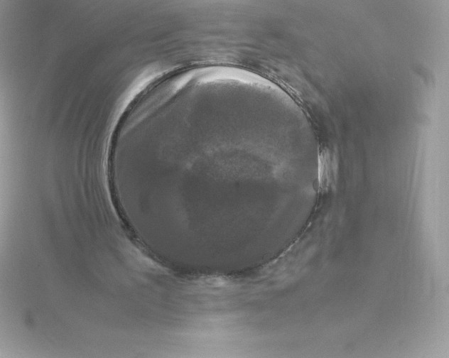 X0000115720195200911251924