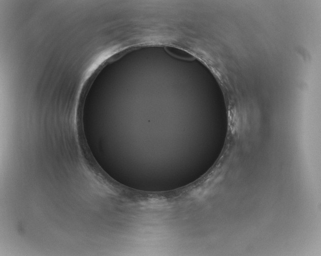 X0000115720196200911251924