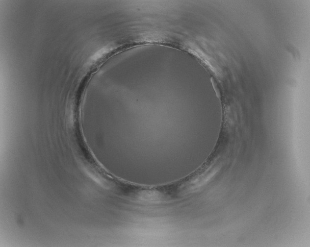 X0000115720203200911251924
