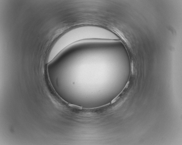 X0000115720205200911251924