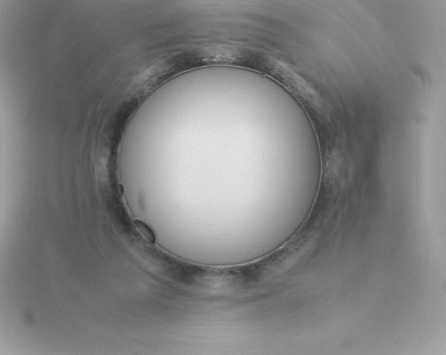 X0000115720209200911251924